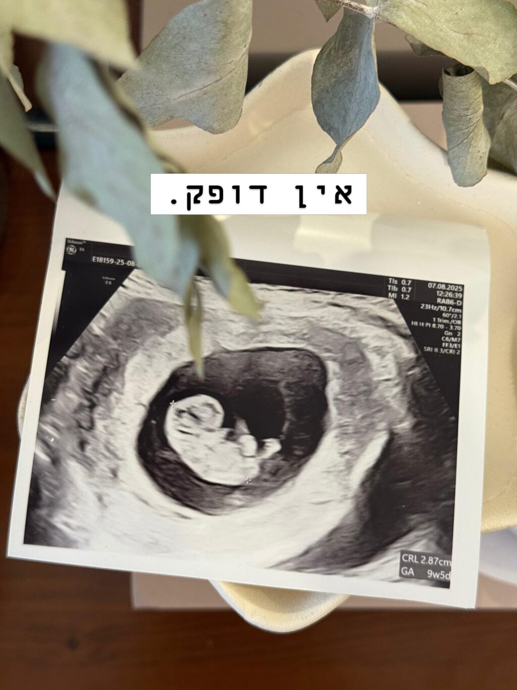 Instagram post from shiran_uriel. This post is in position 8.