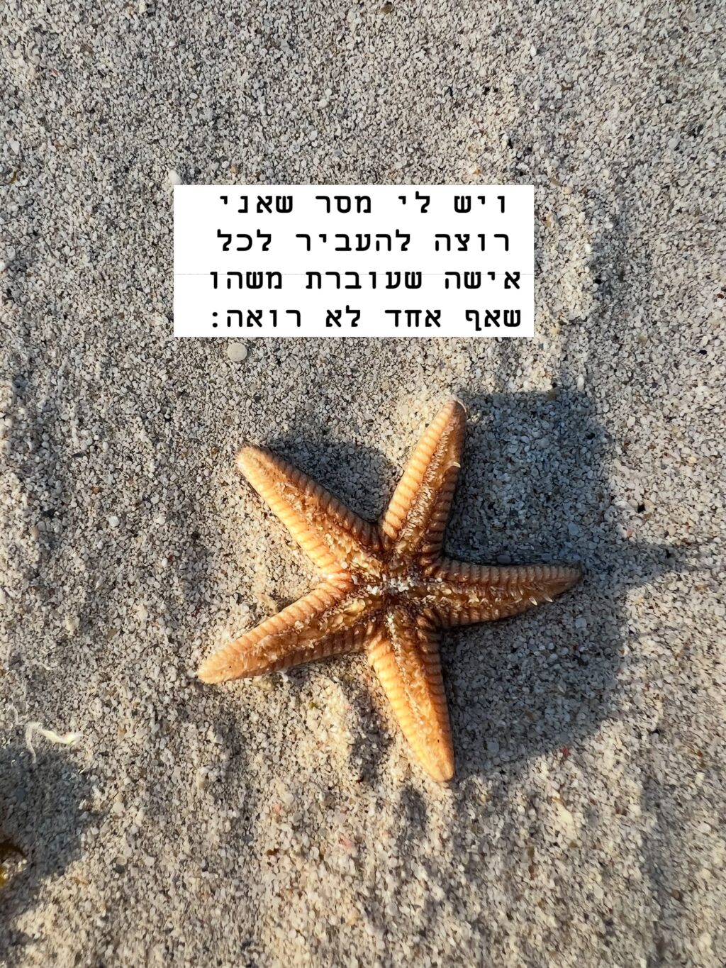 Instagram post from shiran_uriel. This post is in position 14.