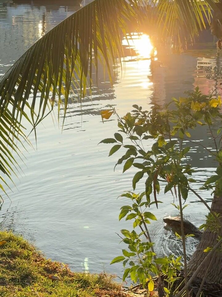 Instagram post from shiran_uriel. This post is in position 3.