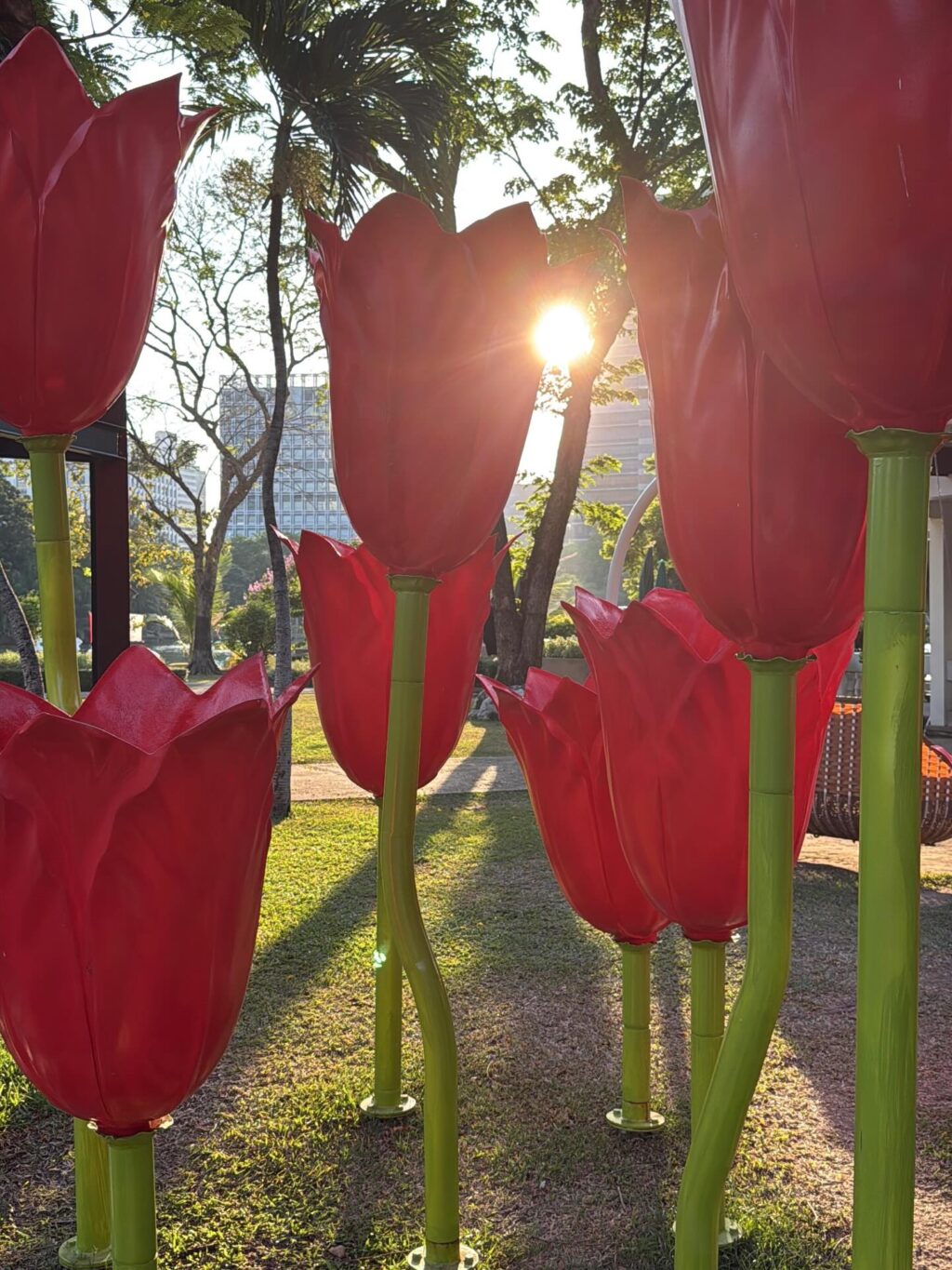 Instagram post from shiran_uriel. This post is in position 9.