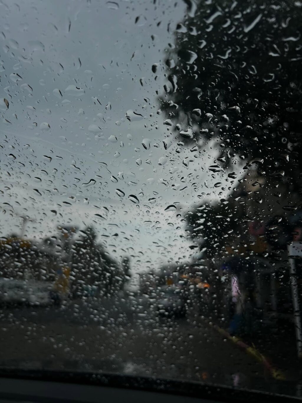 Instagram post from shiran_uriel. This post is in position 4.