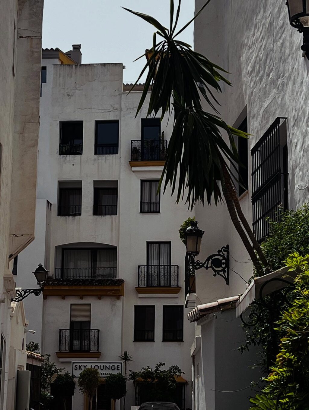 Instagram post from shiran_uriel. This post is in position 4.