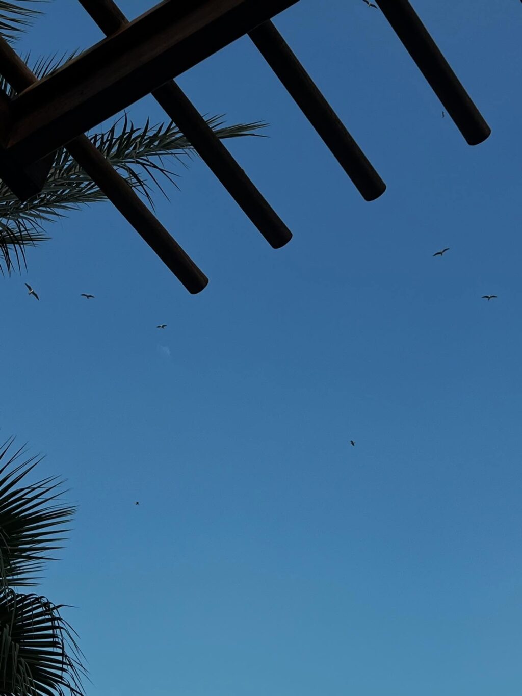 Instagram post from shiran_uriel. This post is in position 6.