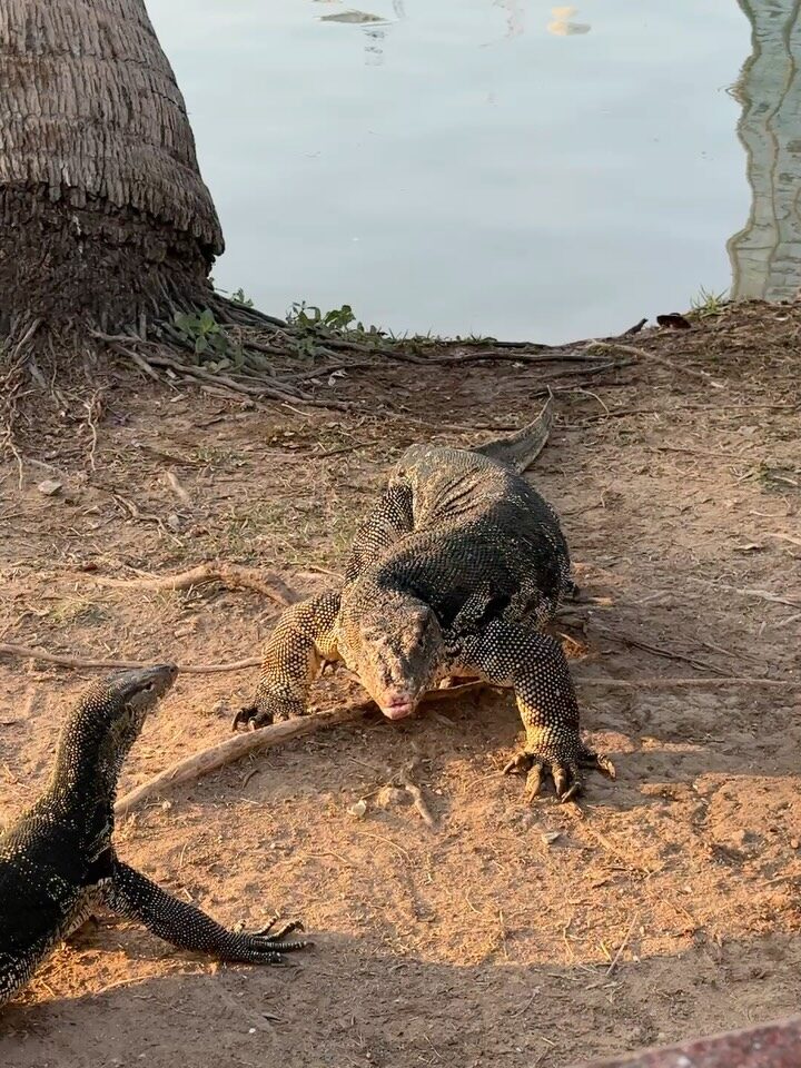 Instagram post from shiran_uriel. This post is in position 8.