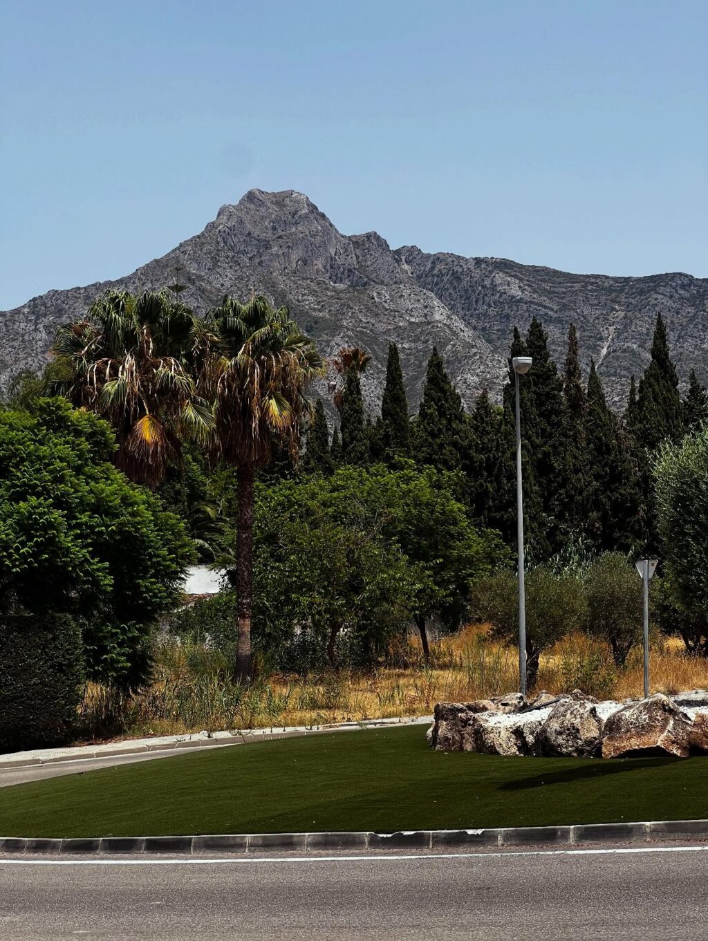 Instagram post from shiran_uriel. This post is in position 8.