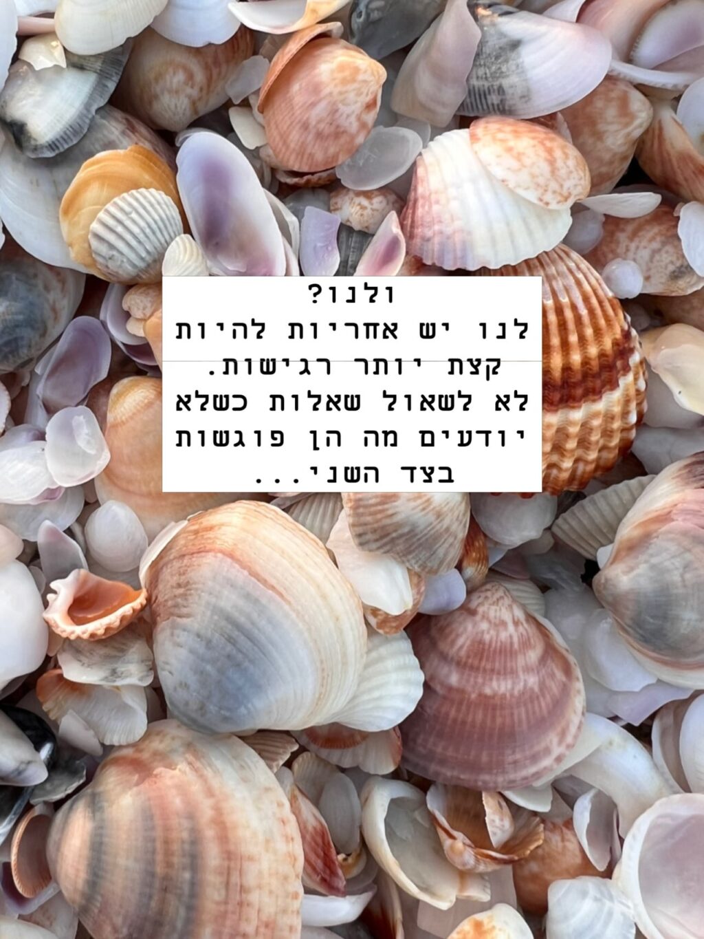 Instagram post from shiran_uriel. This post is in position 17.
