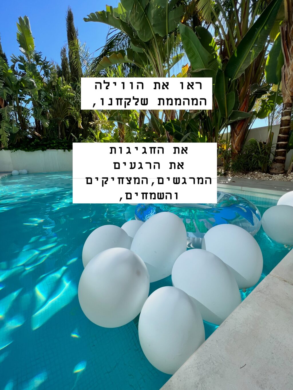 Instagram post from shiran_uriel. This post is in position 4.