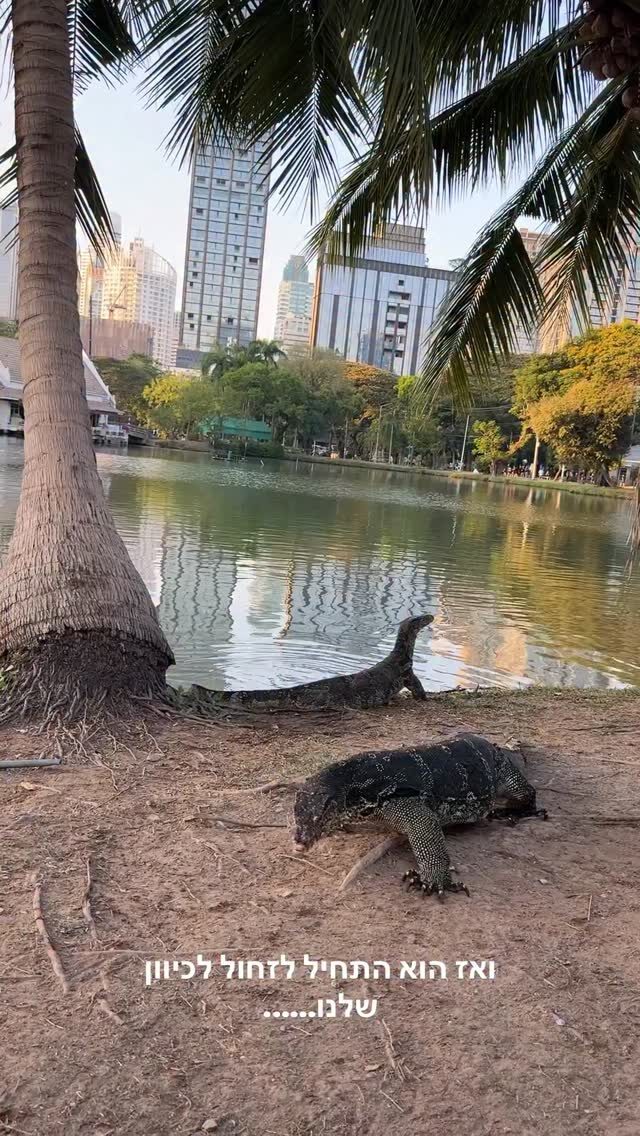 Instagram post from shiran_uriel. This post is in position 7.