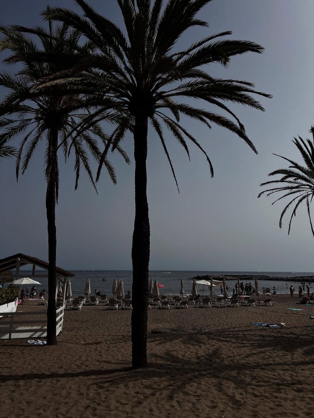 Instagram post from shiran_uriel. This post is in position 12.