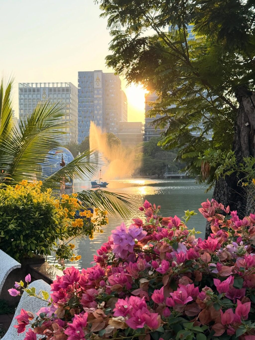 Instagram post from shiran_uriel. This post is in position 6.